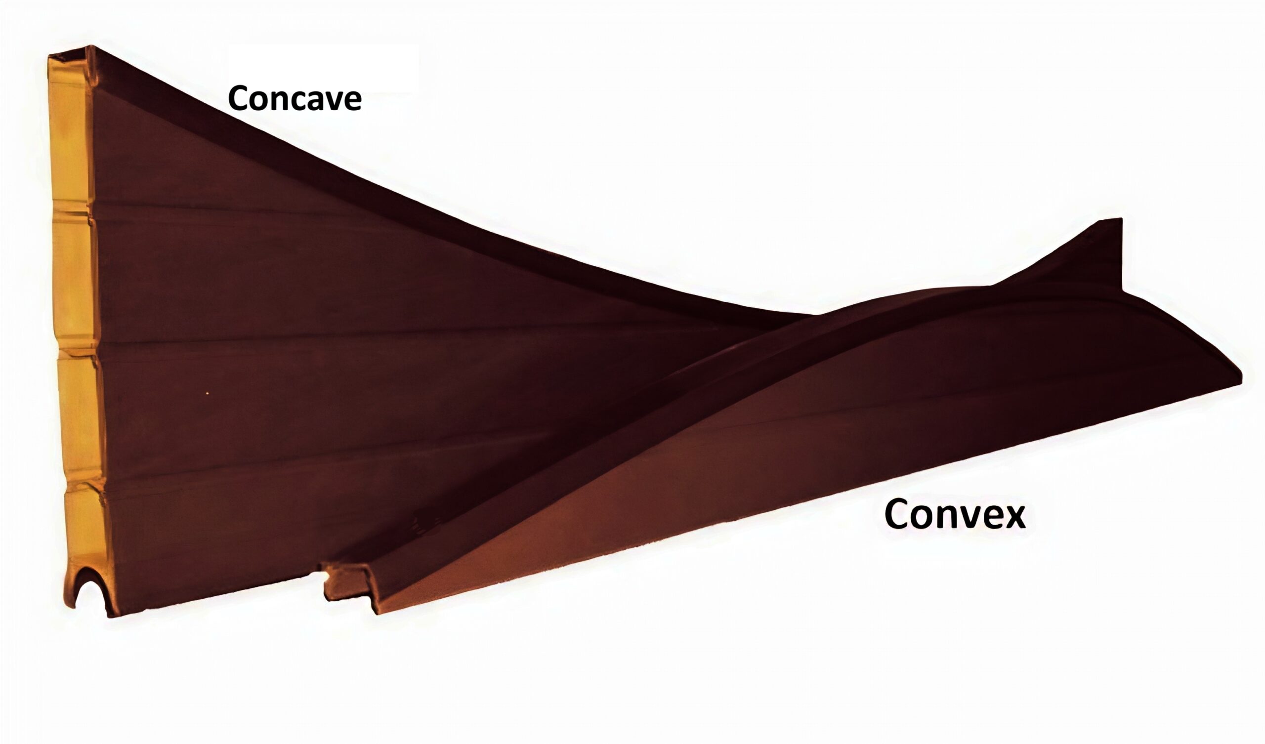 Walnut Concave Fencing Panel 2438mm Wide